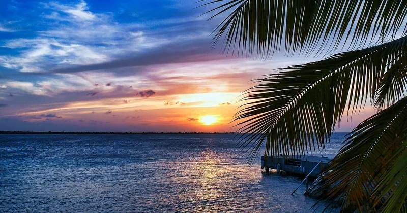 Bonaire Urlaub: was Sie wirklich erwartet