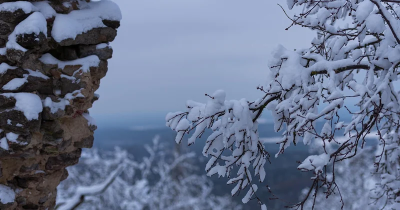 Wann sollten Sie den Tafelberg besuchen?