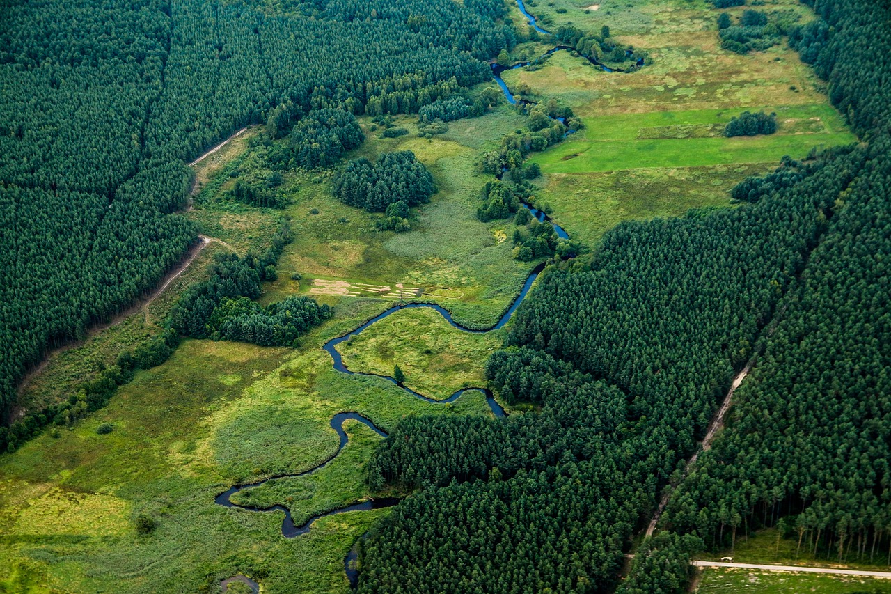 günstige flüge: entdecken sie die besten angebote für ihren nächsten urlaub. sparen sie zeit und geld, indem sie mit uns die besten flugpreise vergleichen.